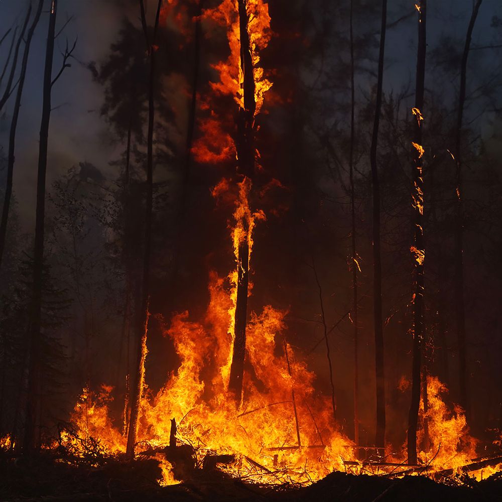 Photograph by Игорь Капустин