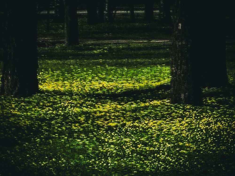 Photograph by Дайана