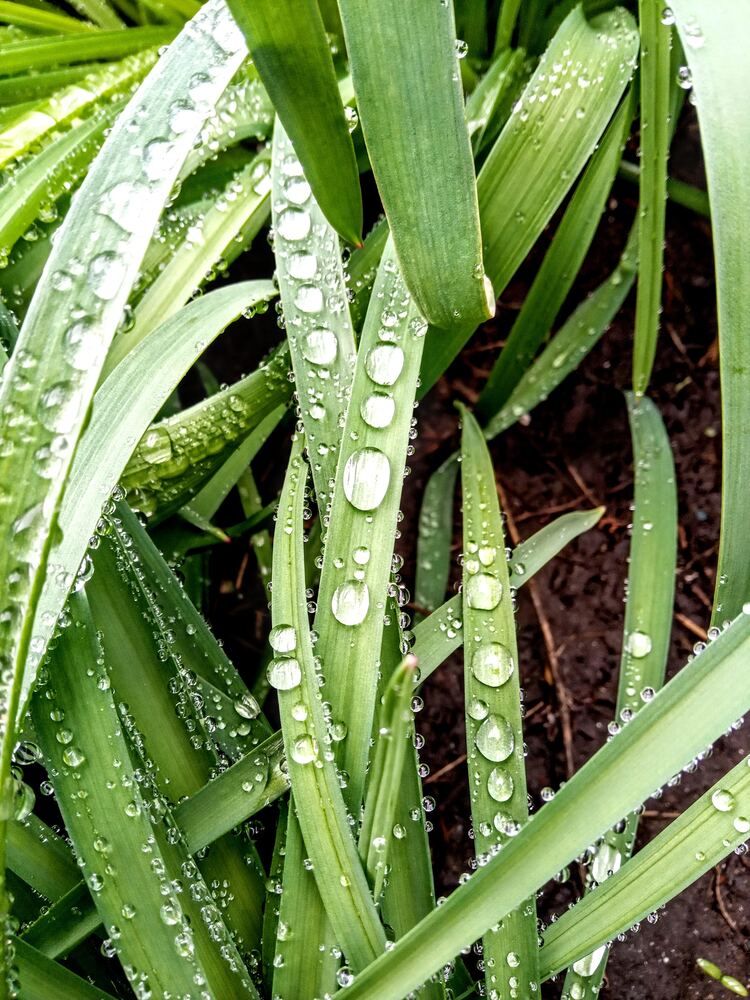 Photograph by Татьяна Пальчикова