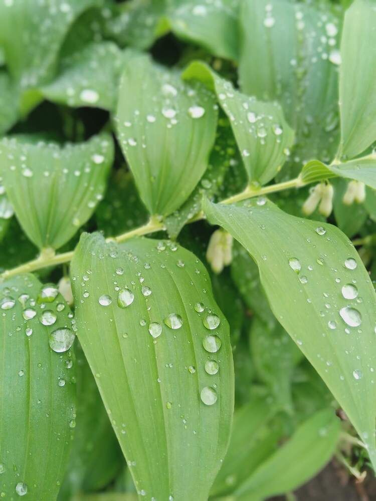 Photograph by Татьяна Пальчикова