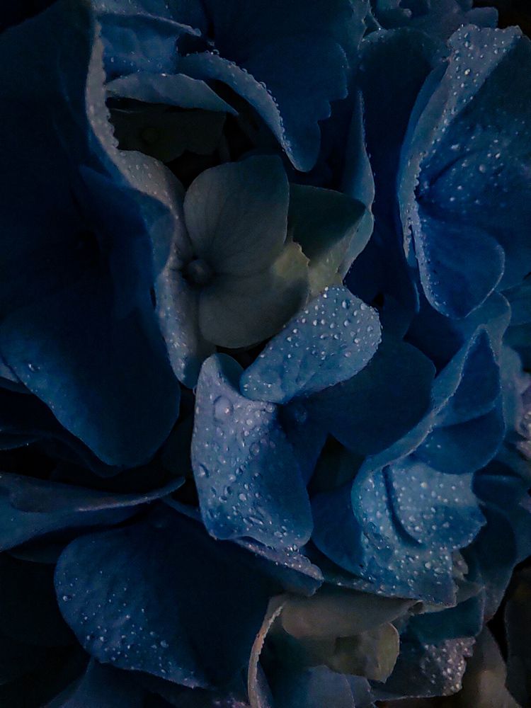 Photograph by Дарья Кондрашонок