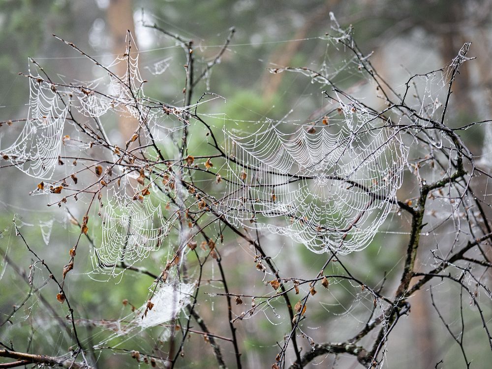 Photograph by Людмила