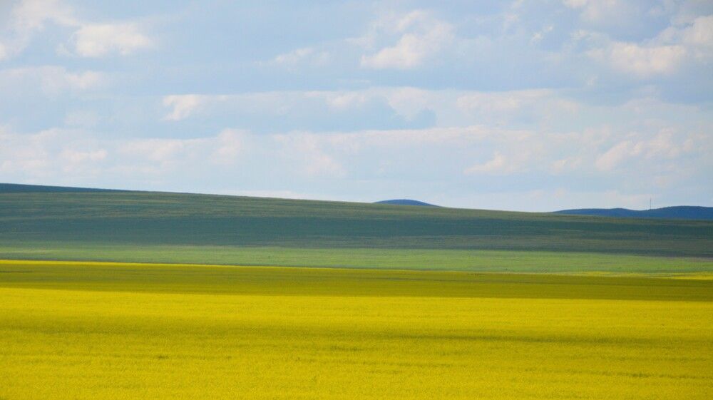 Photograph by Маринова Марина