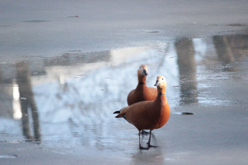 Photograph by Екатерина Александровна