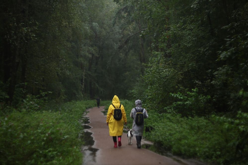 Photograph by Яна Егорова