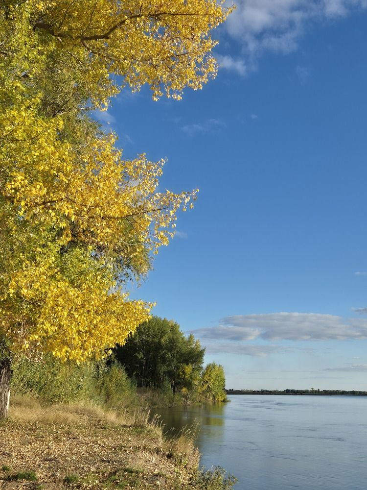 Фотография автора Валентина
