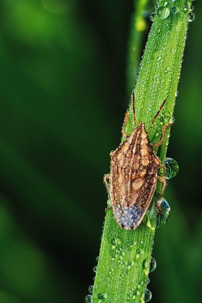 Photograph by Sergio Gomez Dominguez