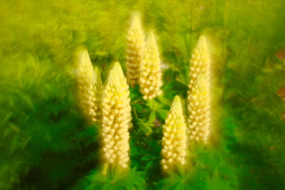 Photograph by Яна Егорова