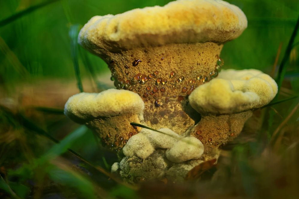 Photograph by Яна Егорова