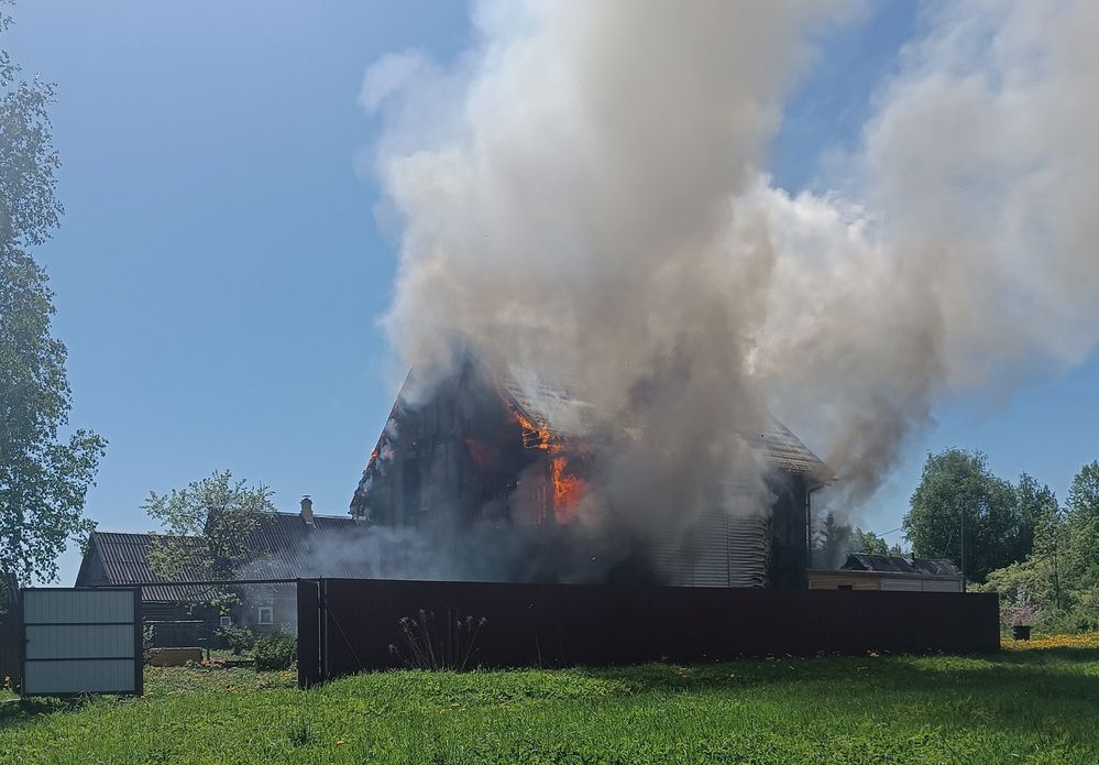 Photograph by Алла Бойко