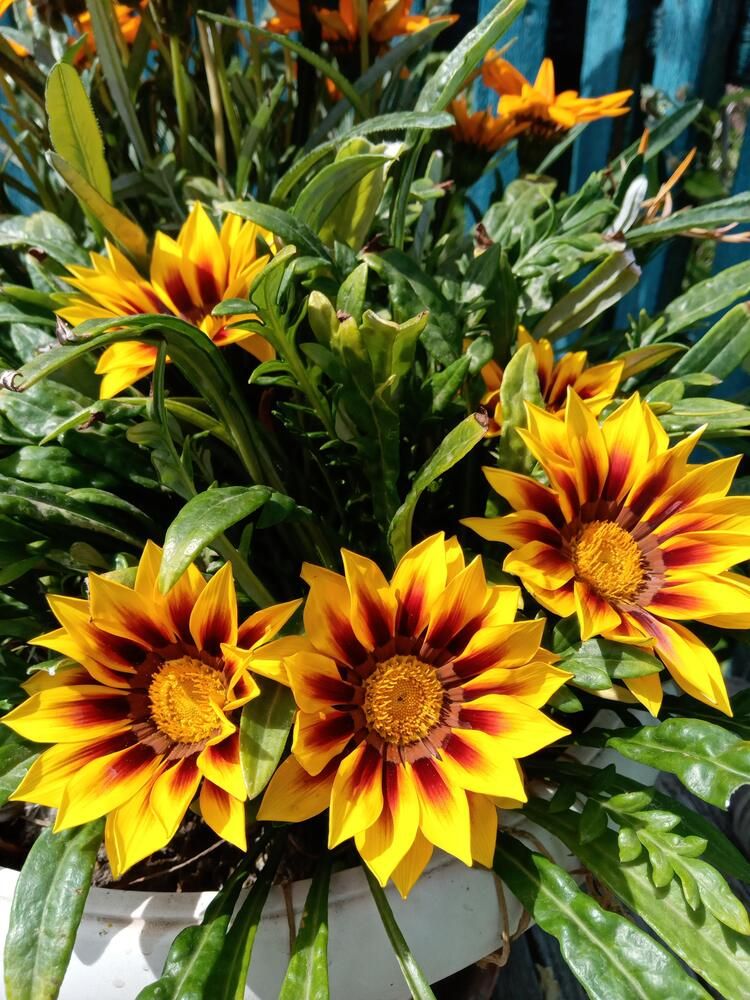 Photograph by Татьяна Пальчикова