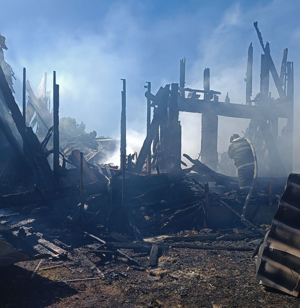 Photograph by Алла Бойко