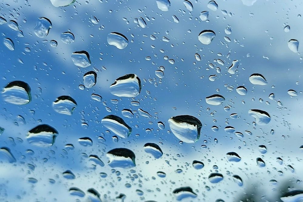 Photograph by Людмила