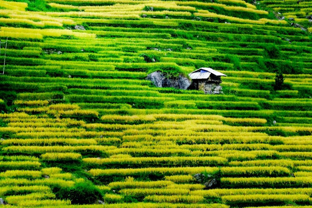 A La Chi House in Hoang Su Phi