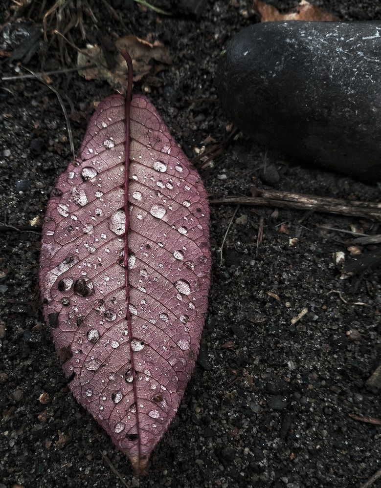 Photograph by Артем Великанов