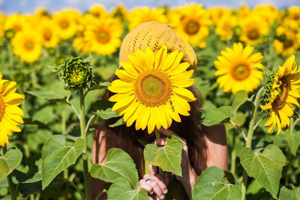 Photograph by Алексей Пирязев