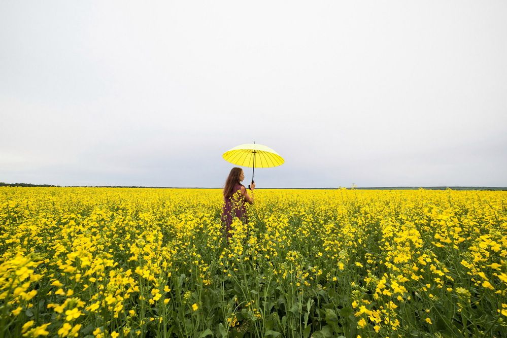 Photograph by Алексей Пирязев