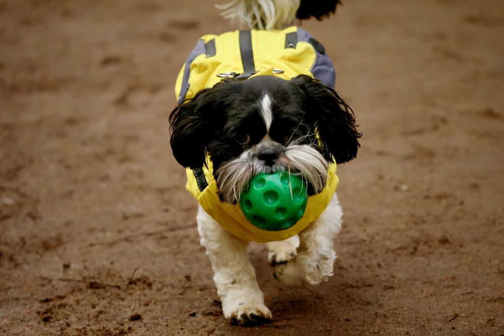 Photograph by Яна Егорова