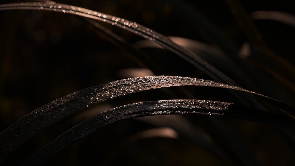 Photograph by Виктория Шажко