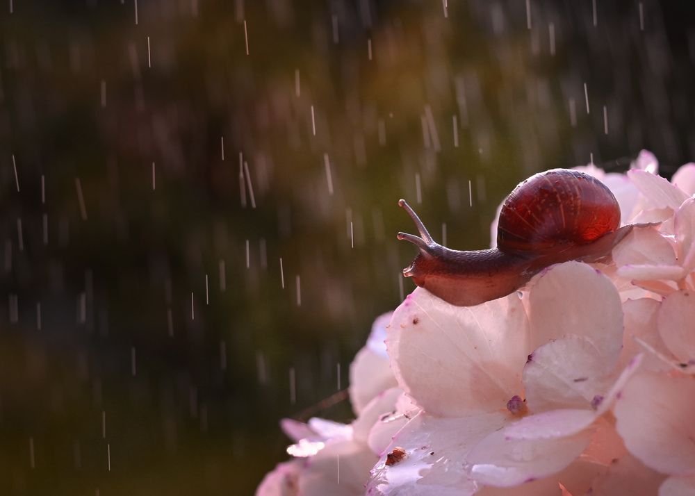 Photograph by Виктория Шажко