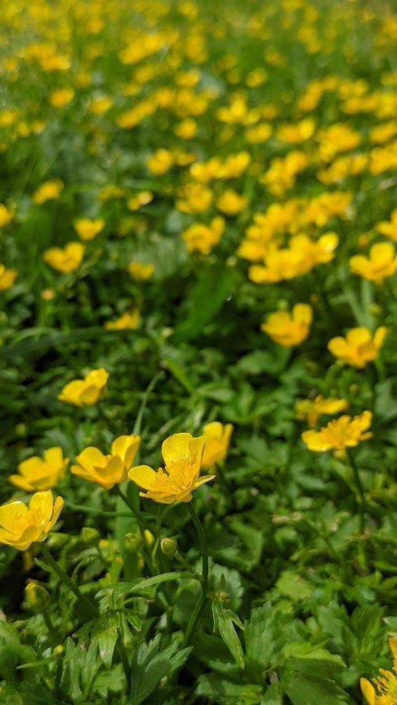 Фотография автора Васильева Ирина