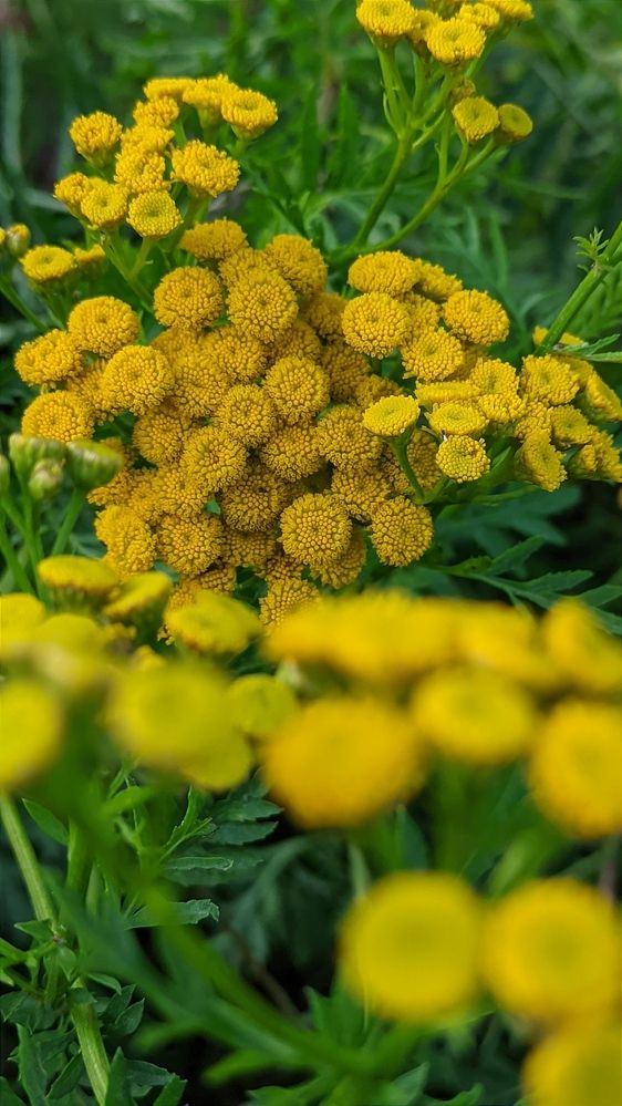 Фотография автора Васильева Ирина