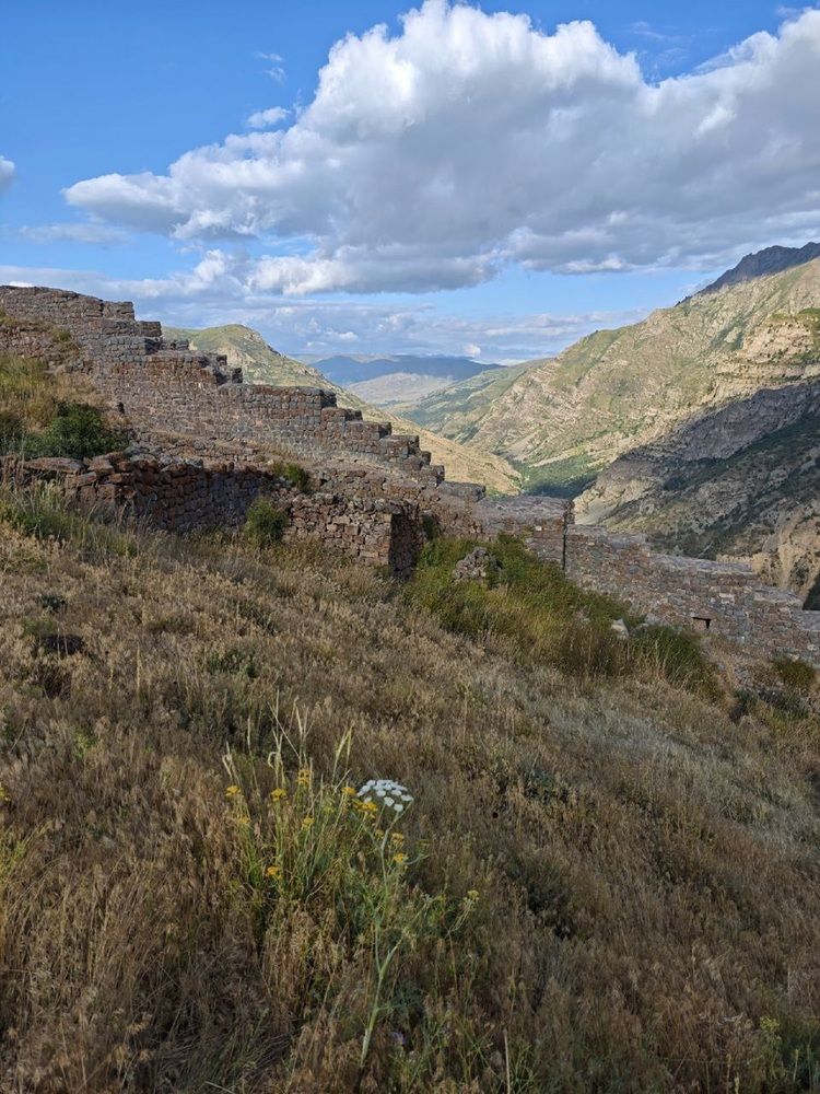 Фотография автора Наталья Фирсова