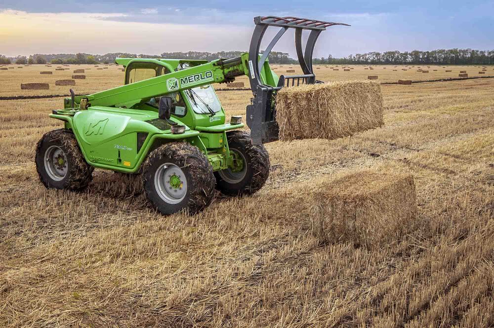 Photograph by Евгений Киселев