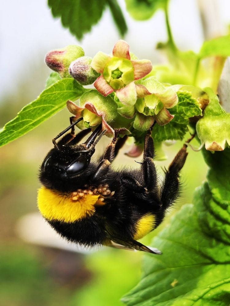 Photograph by Анна Якубинас