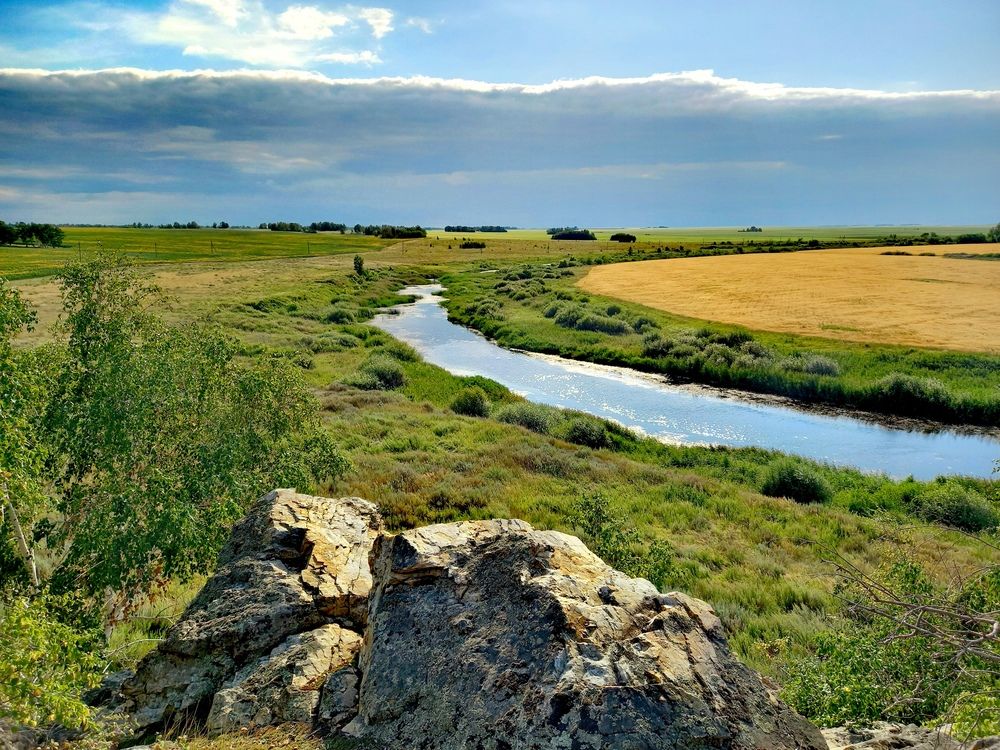 \"Родные просторы\"