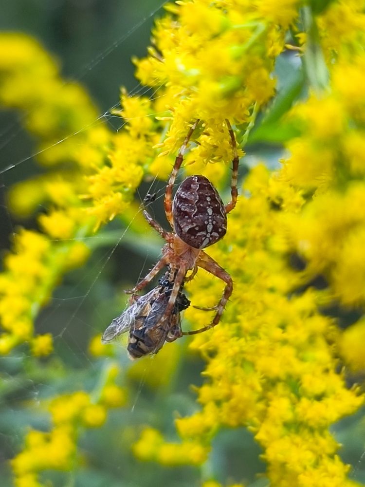 Photograph by Катрина Покумейко