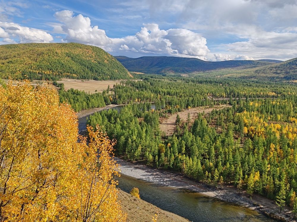 Photograph by Алёна Гильмуллина