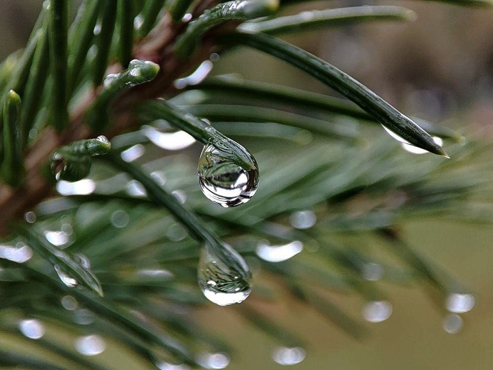 Photograph by Людмила