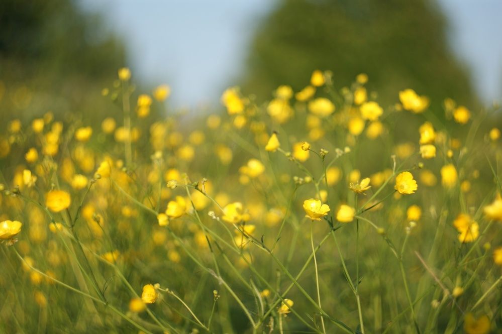 Photograph by Елена