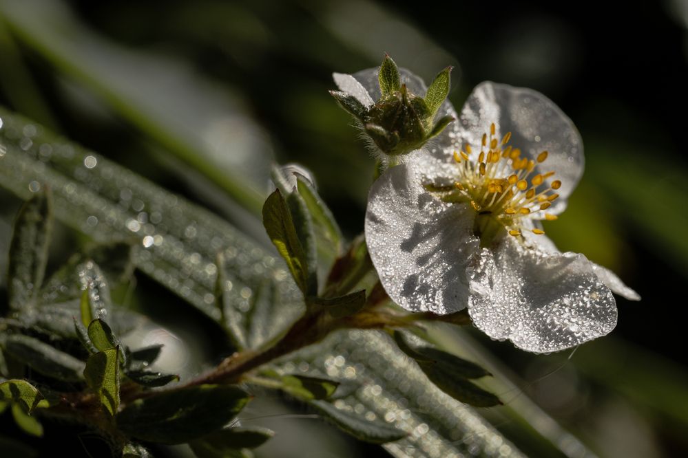 Фотография автора Ирина Гриценко