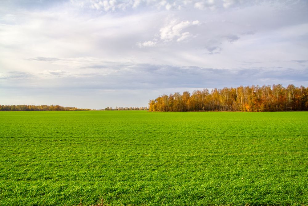 Photograph by Андрей Хитров