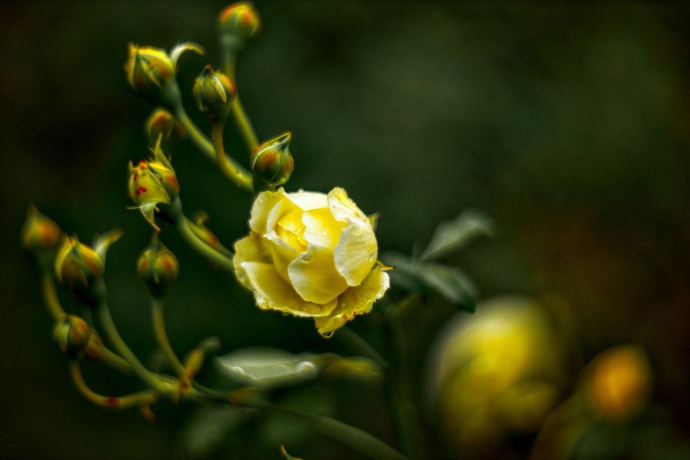 Photograph by Яна Егорова