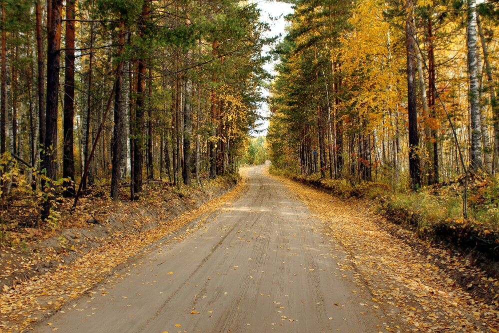 Photograph by Галина Мазур