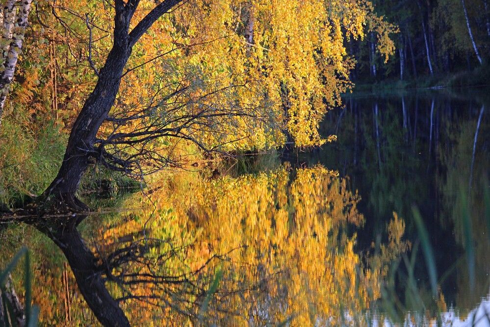 Photograph by Галина Мазур