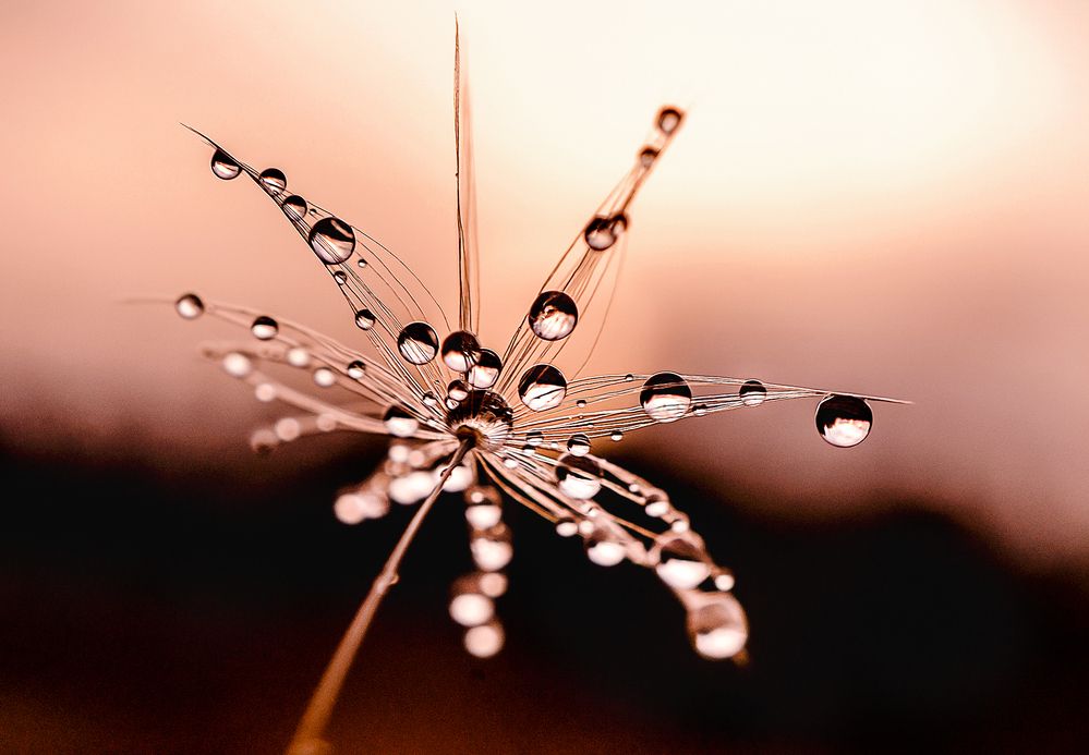 Photograph by Dace Spalvina