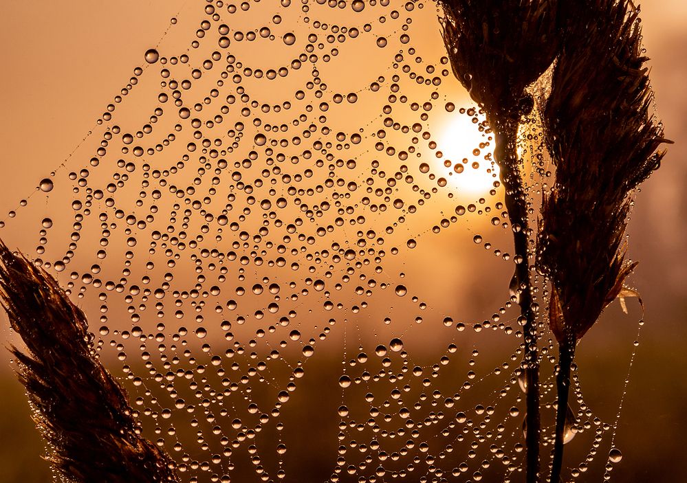 Photograph by Dace Spalvina