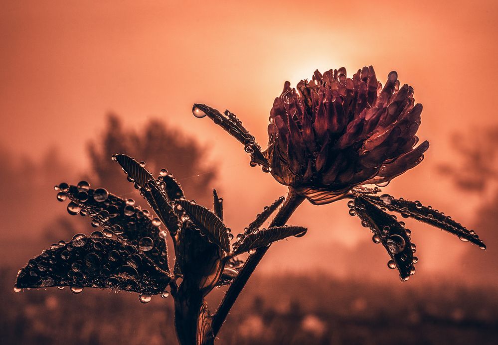 Photograph by Dace Spalvina