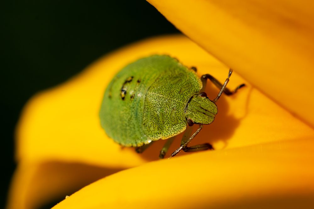 Photograph by Никита Иванов