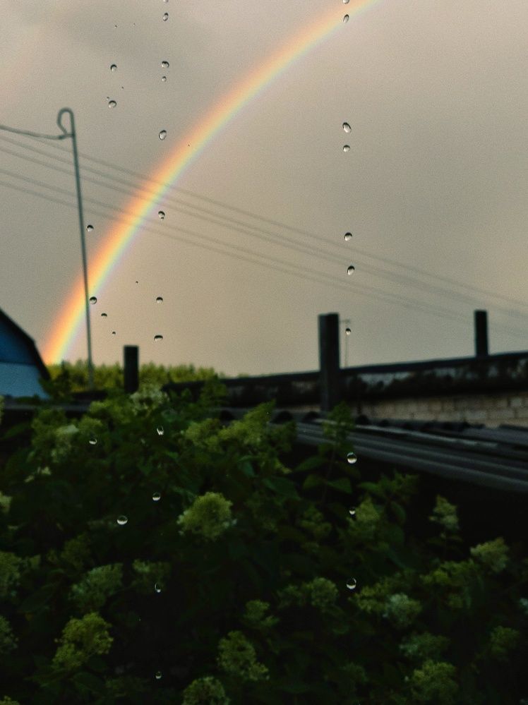 Photograph by Алина