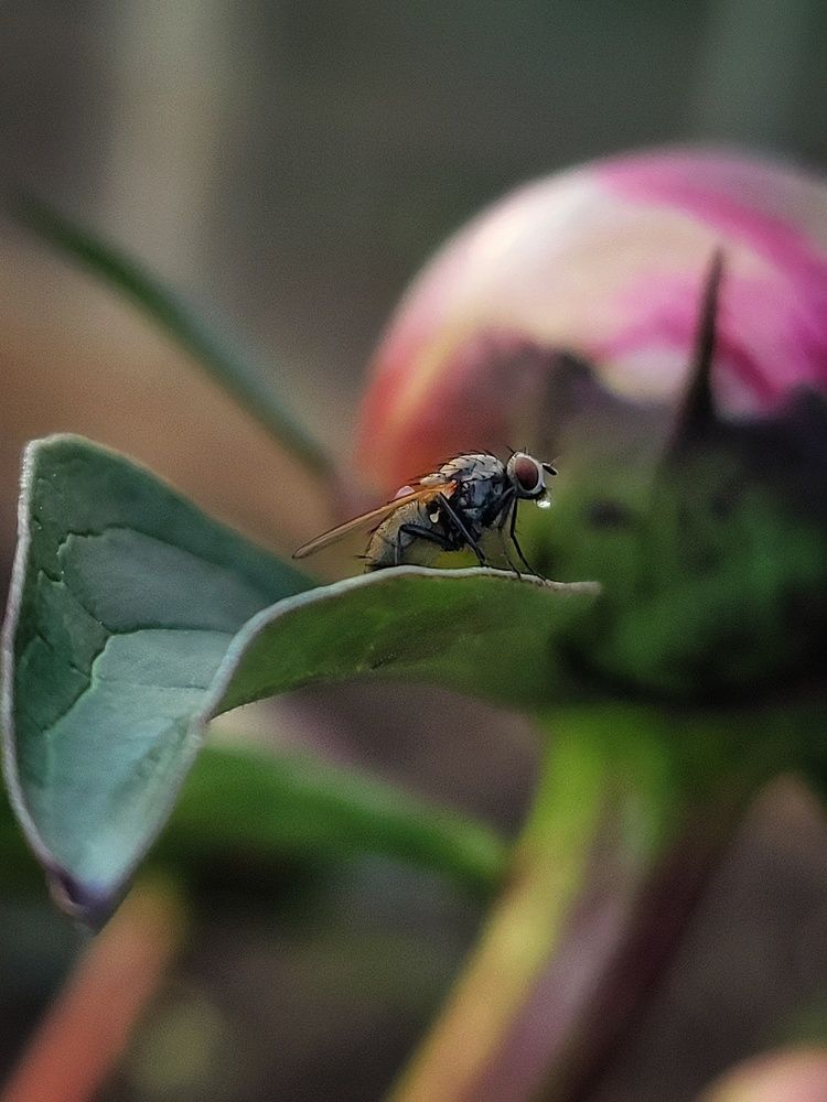 Photograph by Алина