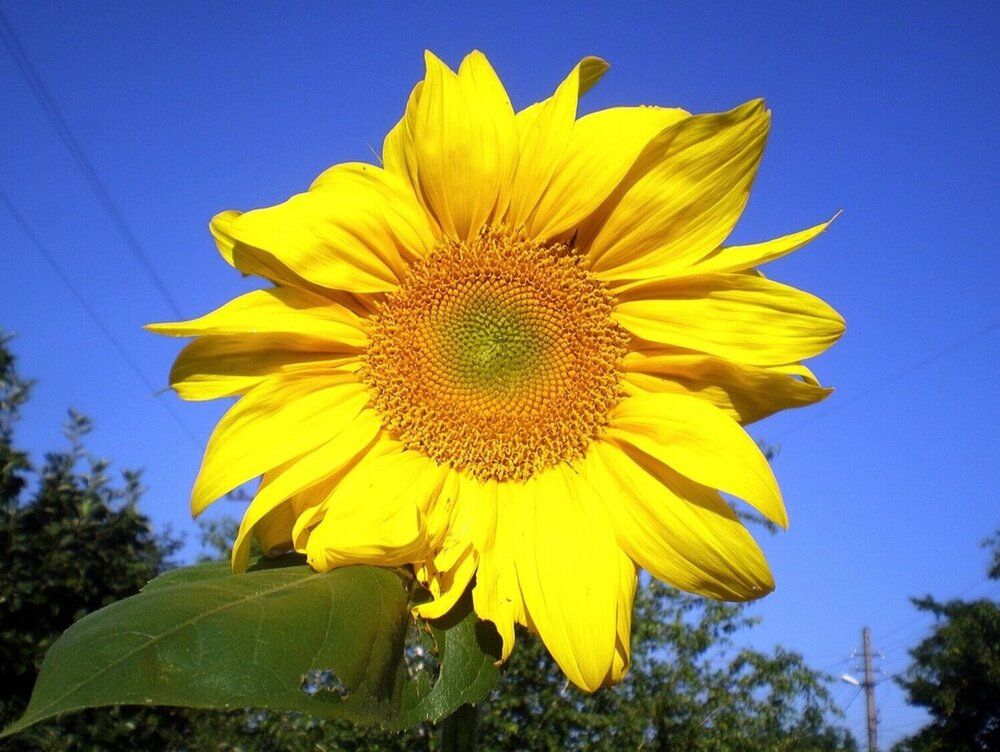 Photograph by Татьяна Пальчикова