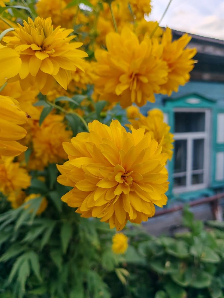 Photograph by Альбина