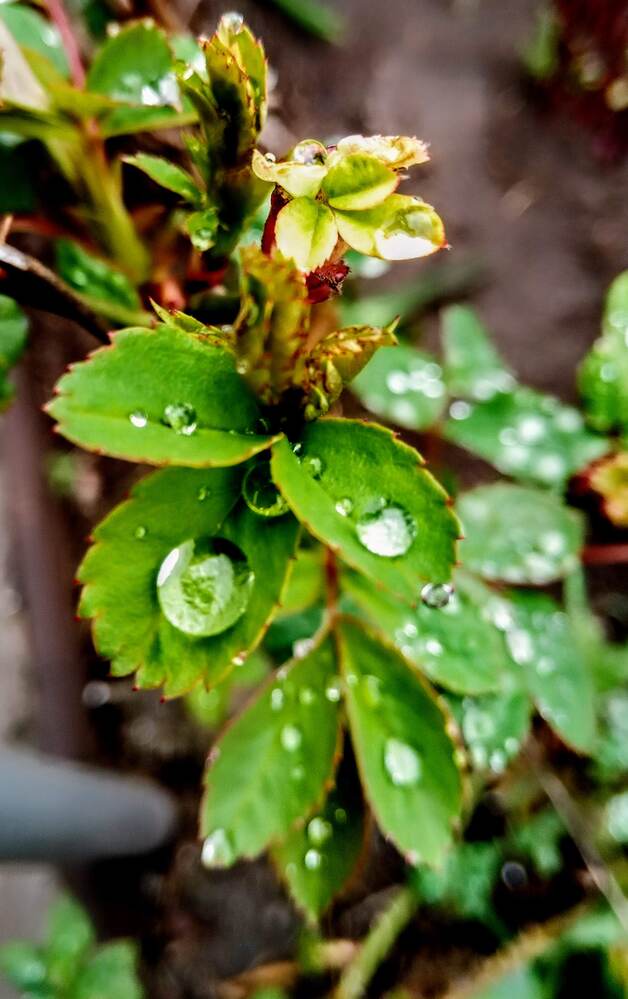 Photograph by Татьяна Пальчикова