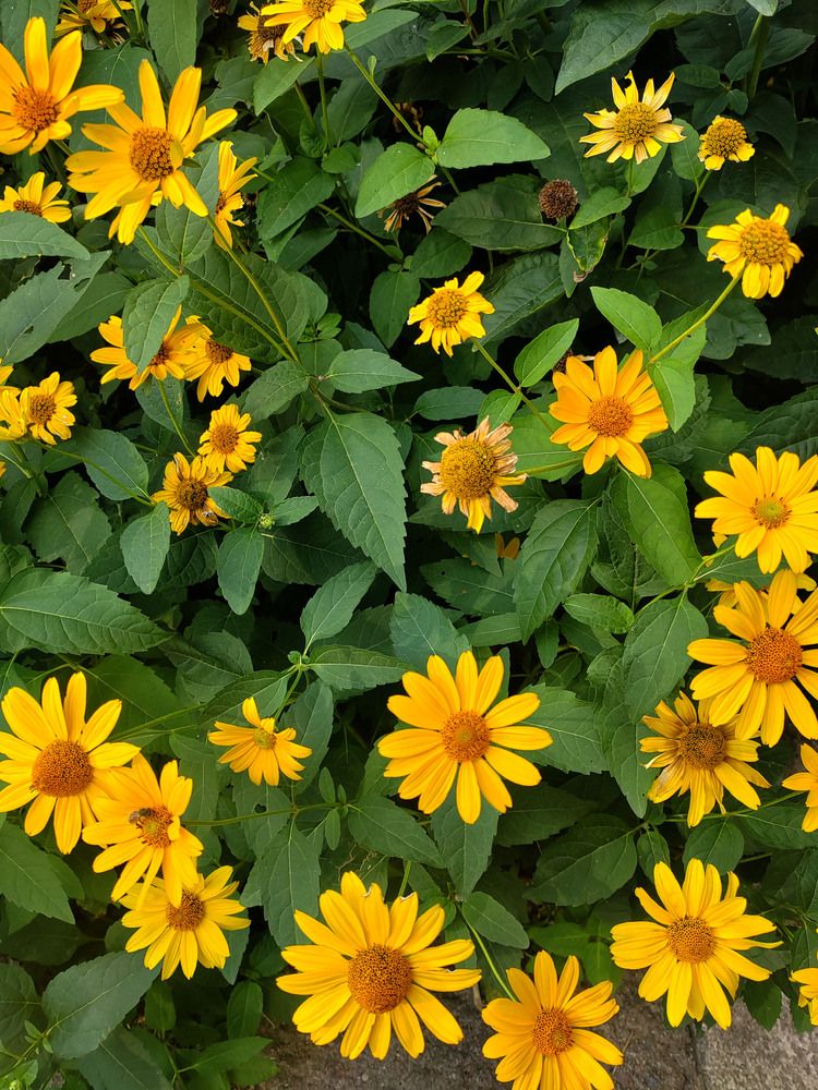 Photograph by Нестеренко Светлана