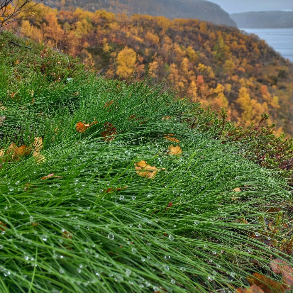 Photograph by OLGA MIKHNEVICH